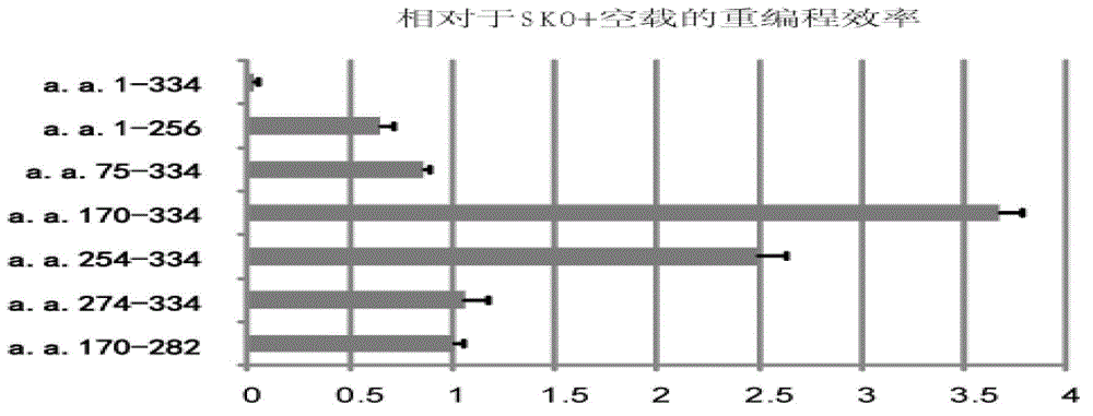 Method of inducing pluripotent stem cells throuhg c-Jun N terminal deletion and applications