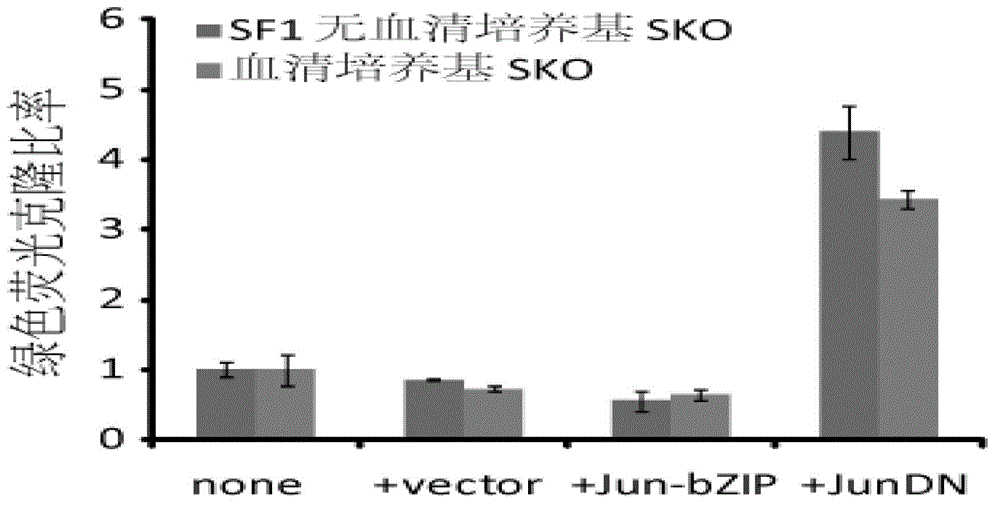 Method of inducing pluripotent stem cells throuhg c-Jun N terminal deletion and applications