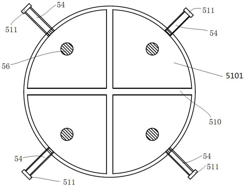 A portable soil heavy metal ion rapid qualitative determination device and determination method