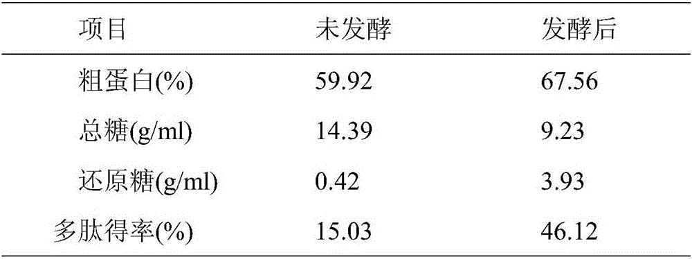 Production method of compound bacterium solid-state fermented maize protein meal