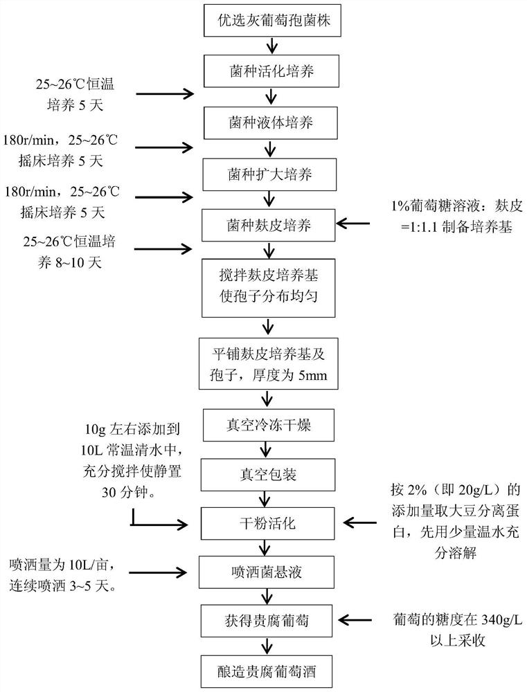 A kind of preparation method and application method of botrytis botrytis dry powder