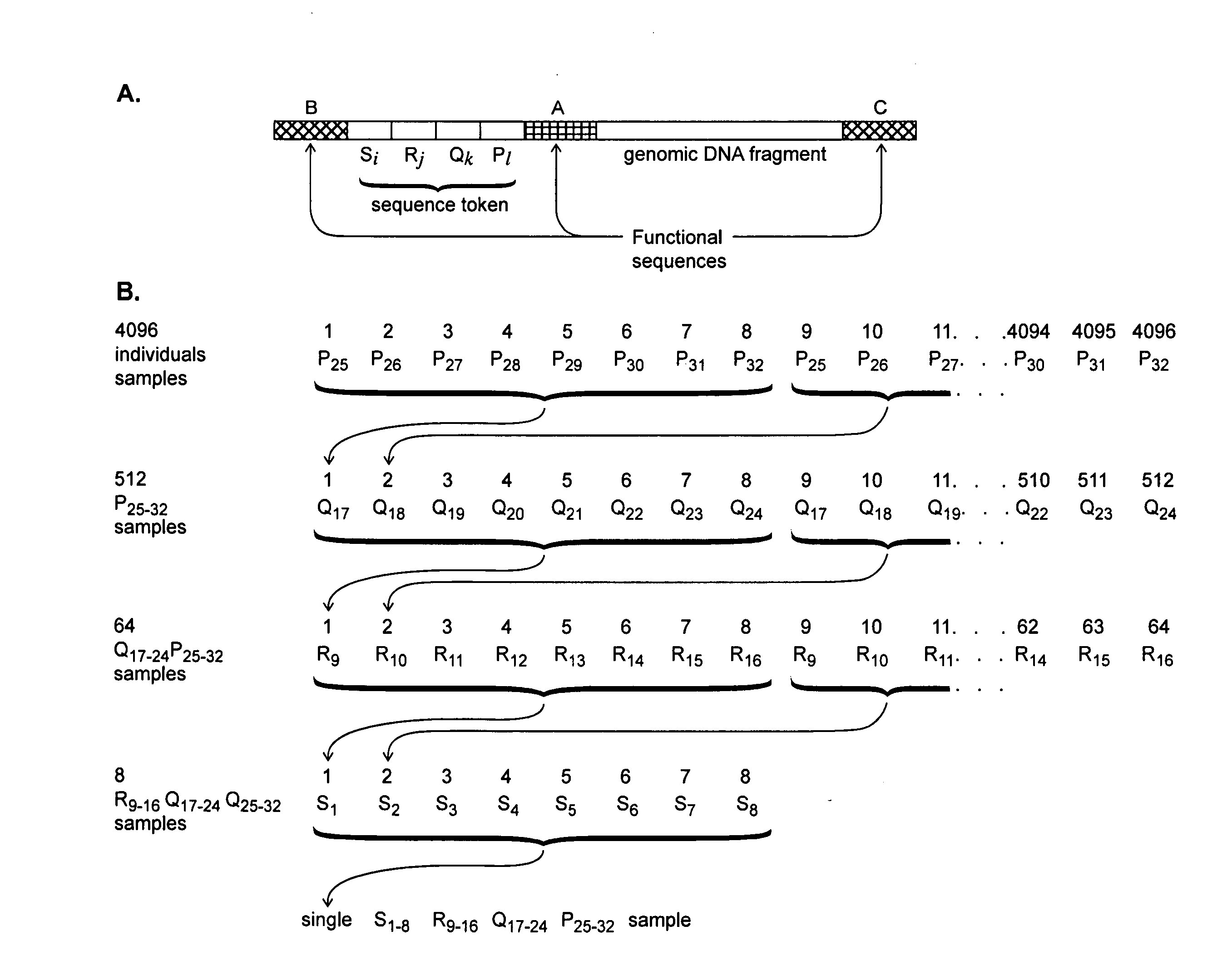 Nucleic acid analysis using sequence tokens