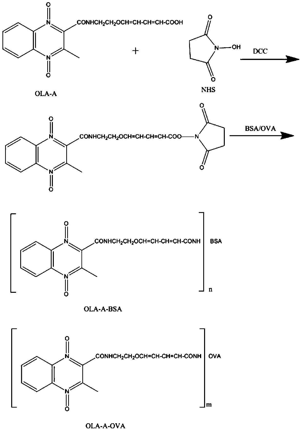 Time-resolved fluoroimmunoassay kit for detecting olaquindox and application thereof