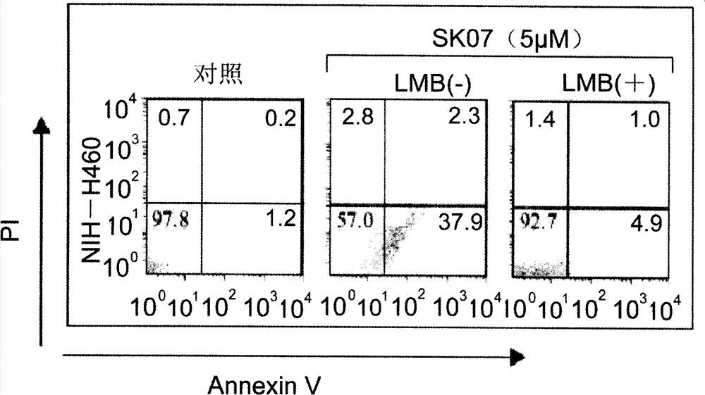 Application of alkannin derivant