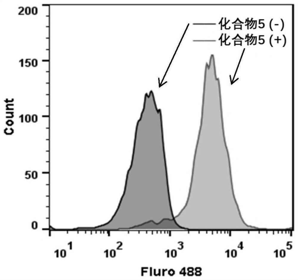 Whole-cell vaccine, and preparation method and application thereof