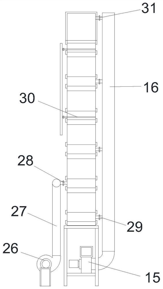 Multi-layer reciprocating chain belt type bran steaming machine