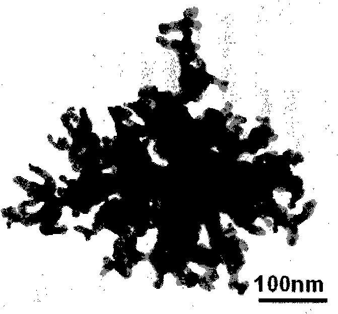 Dendritic golden nanophase material and preparation method thereof