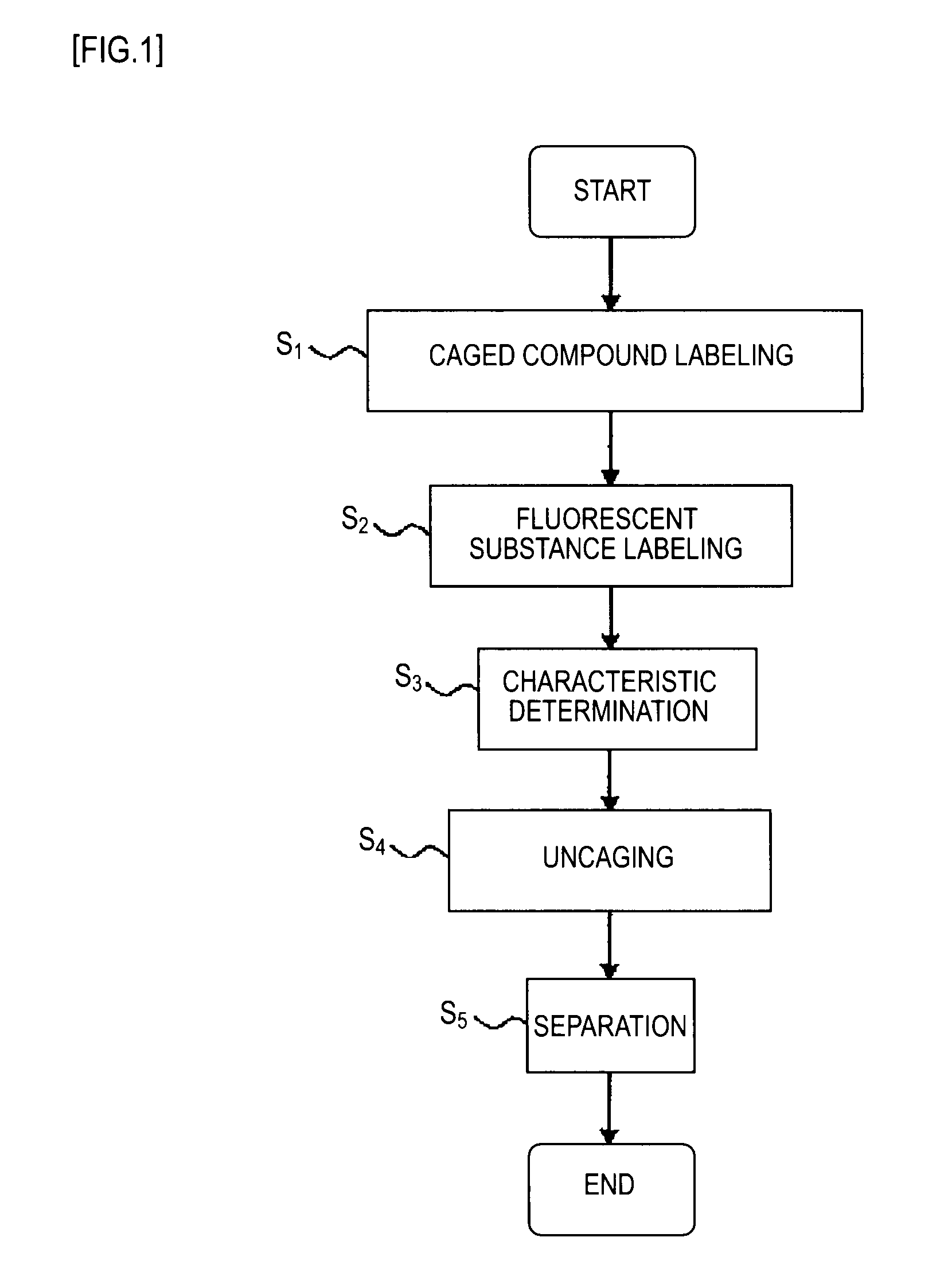 Cell separating method