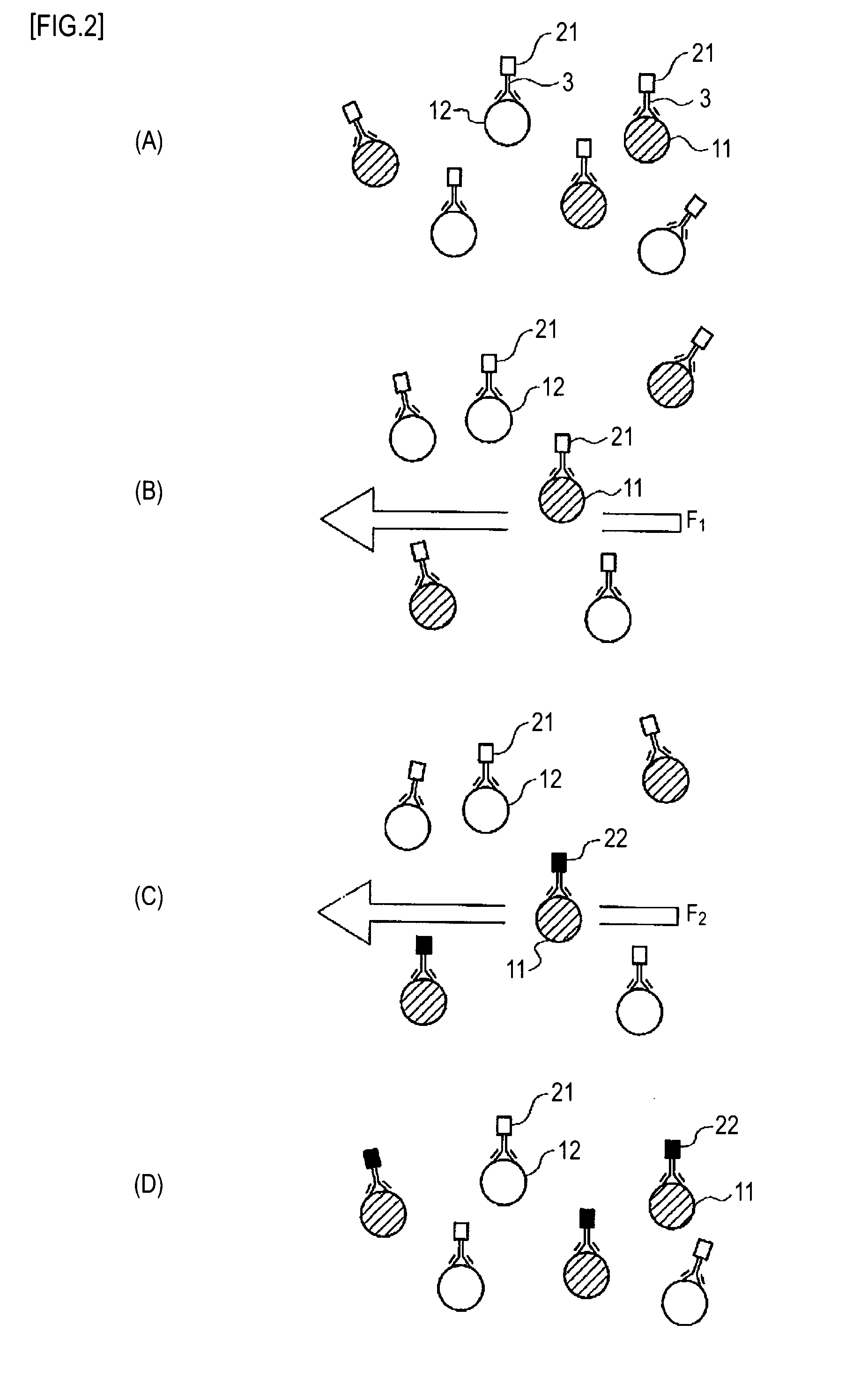 Cell separating method