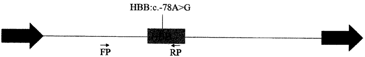 A base editing system, a method, a kit used for specificity repair for human HBB gene mutation and an application therefor