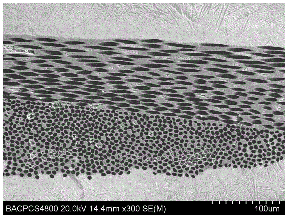 A kind of carbon fiber cloth-titanium alloy composite material and preparation method thereof