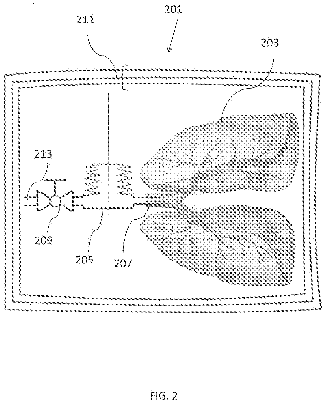 Apparatus for tissue transport and preservation