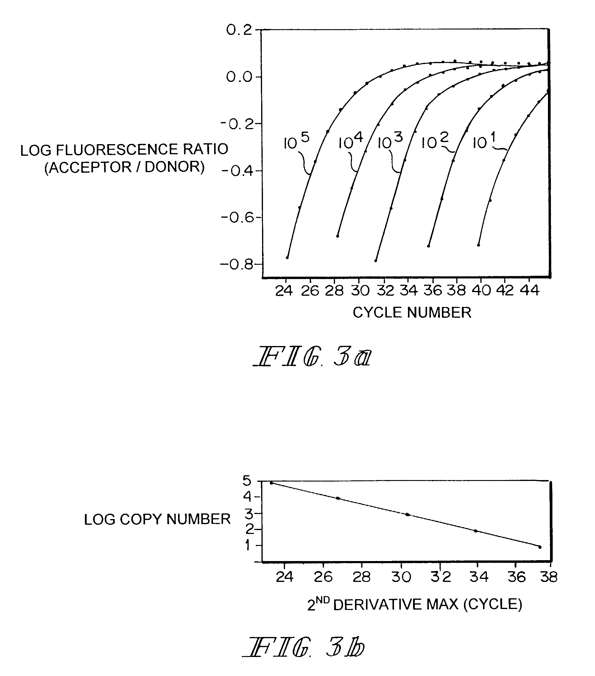 Real-time gene quantification with internal standards