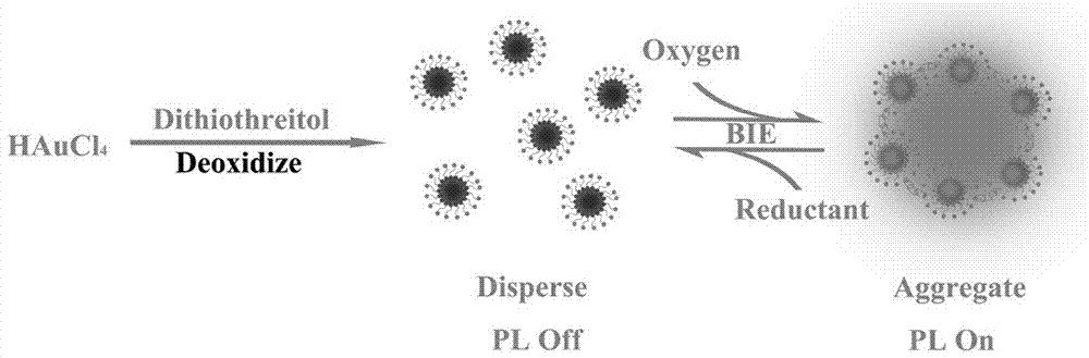 Simple preparation method of sulfydryl-modified gold nanocluster and application of sulfydryl-modified gold nanocluster in oxygen quantitative detection