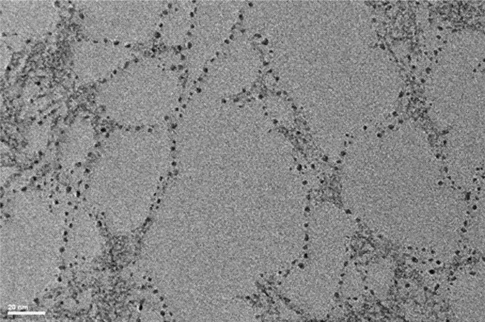 Simple preparation method of sulfydryl-modified gold nanocluster and application of sulfydryl-modified gold nanocluster in oxygen quantitative detection