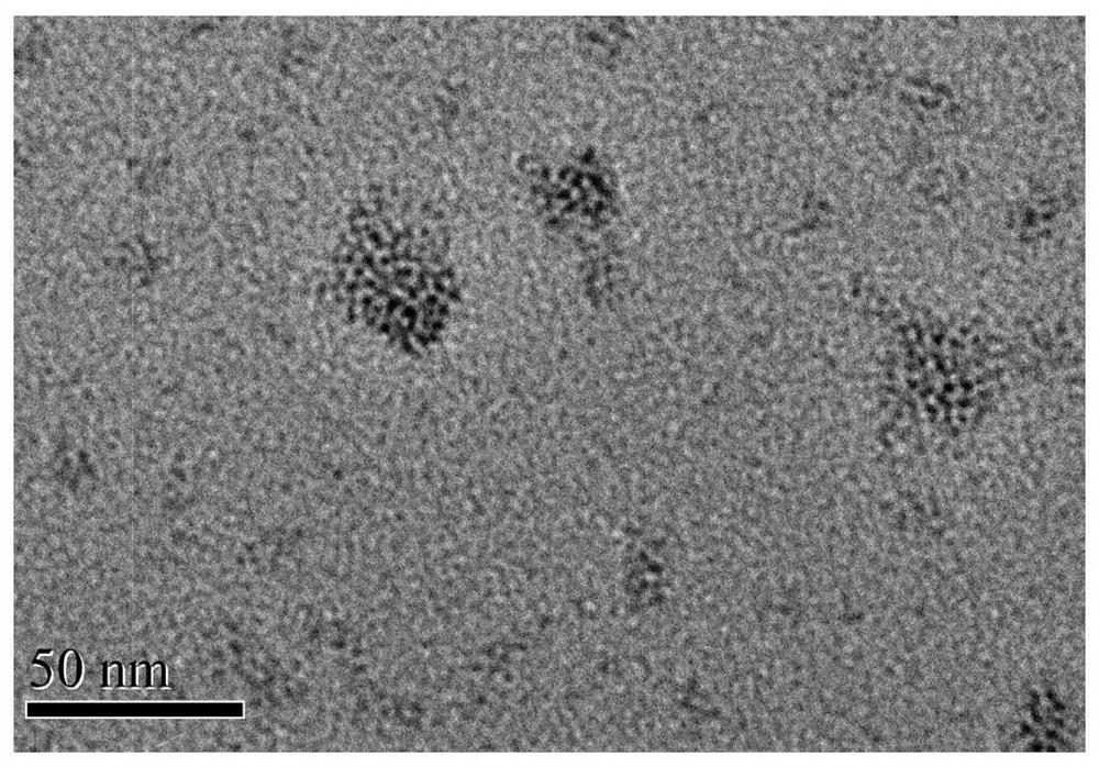 Water-soluble luminous silver nanocluster as well as preparation method and application thereof