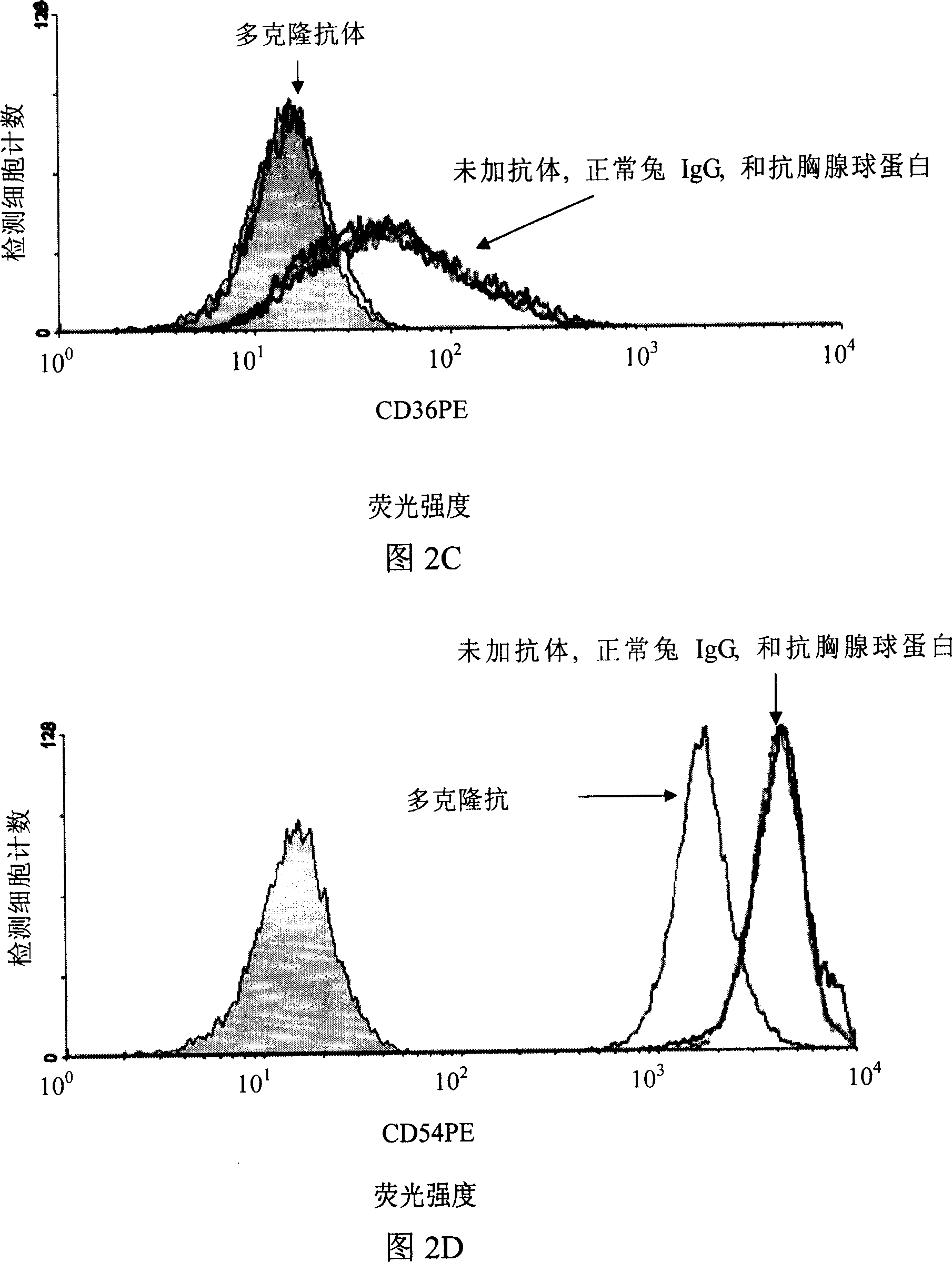 Antigenic composite, multi-clone antibody prepared by it and its application