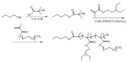 A kind of ph responsive polymer carrier and micelles prepared therefrom, preparation method and application thereof