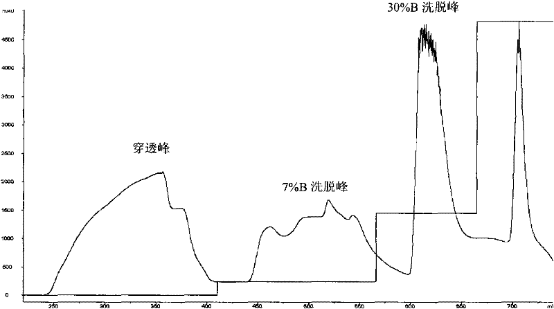 Anti-tumor protein and preparation method and application thereof