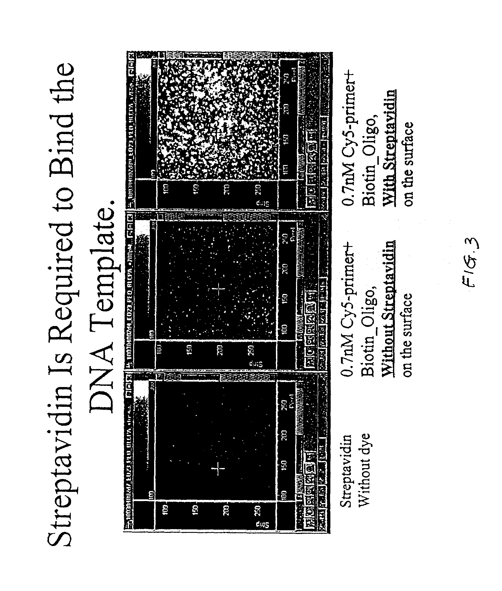Methods and apparatus for analyzing polynucleotide sequences by asynchronous base extension