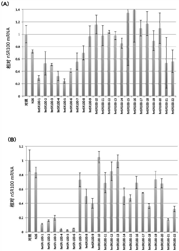 Small cell lung cancer therapeutic agent containing oligonucleotide