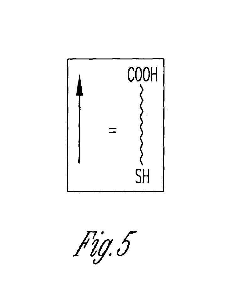 Molecular ruler for scaling down nanostructures