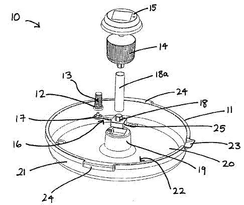 Insect trap