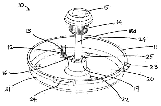 Insect trap