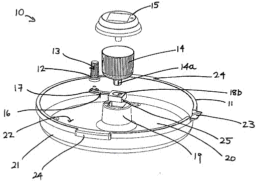 Insect trap