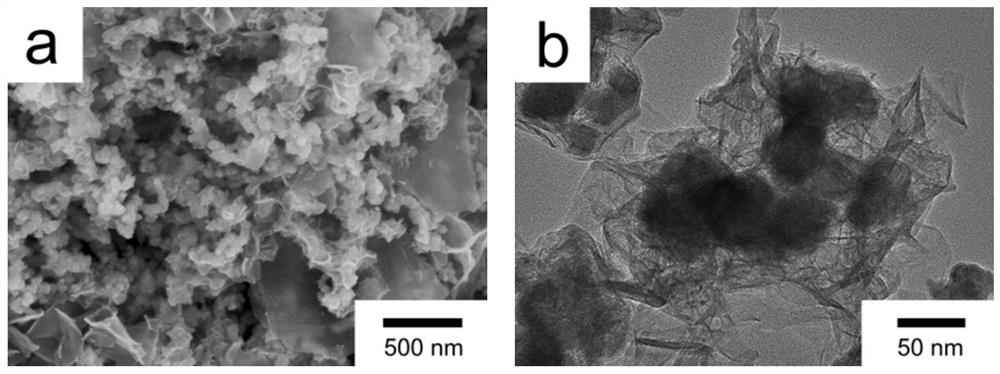 feconibo  <sub>x</sub> /ppy/rgo nanomaterials and oer electrocatalytic modified electrodes based on them