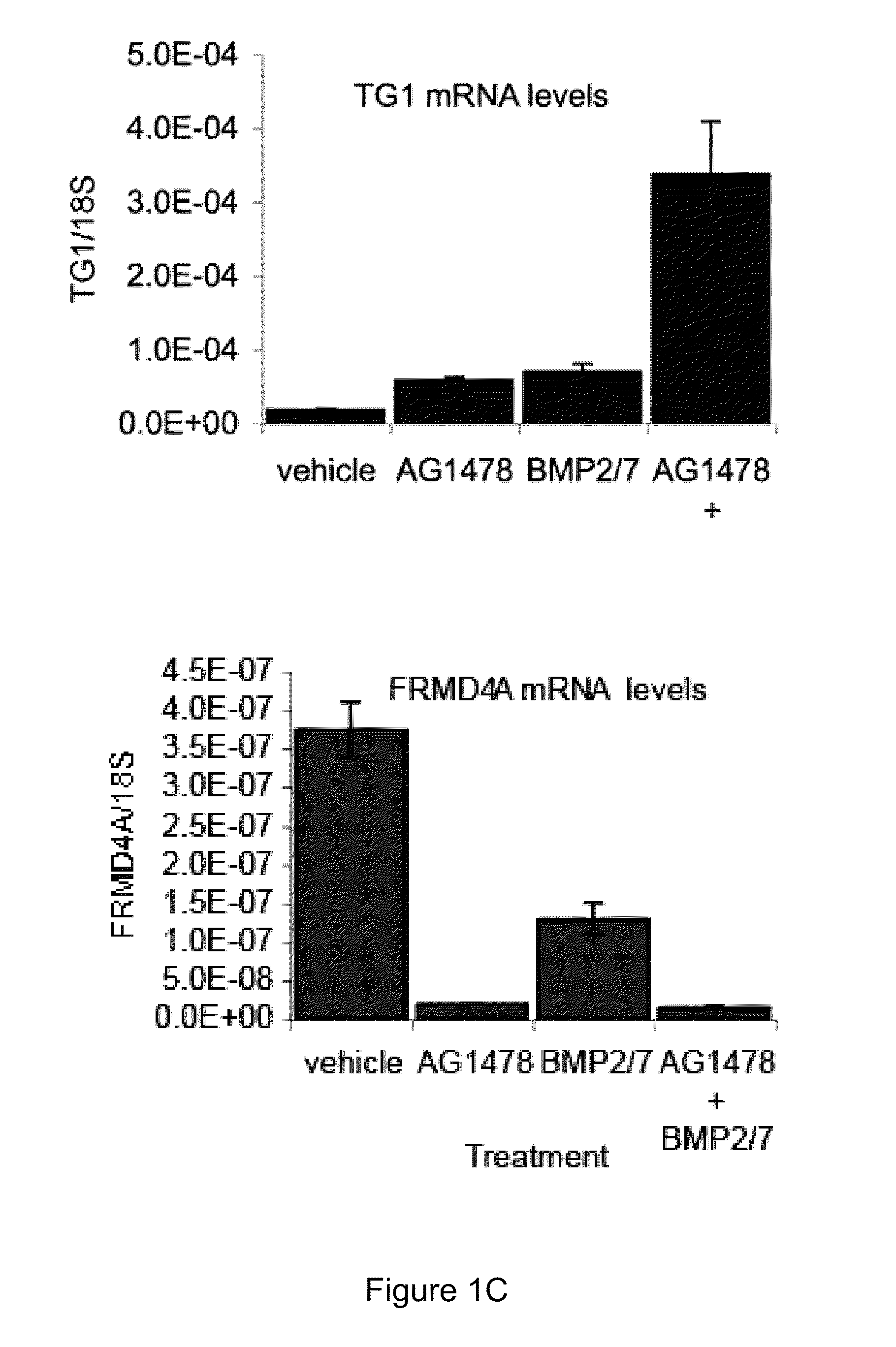 Frmd4a antagonists and their uses