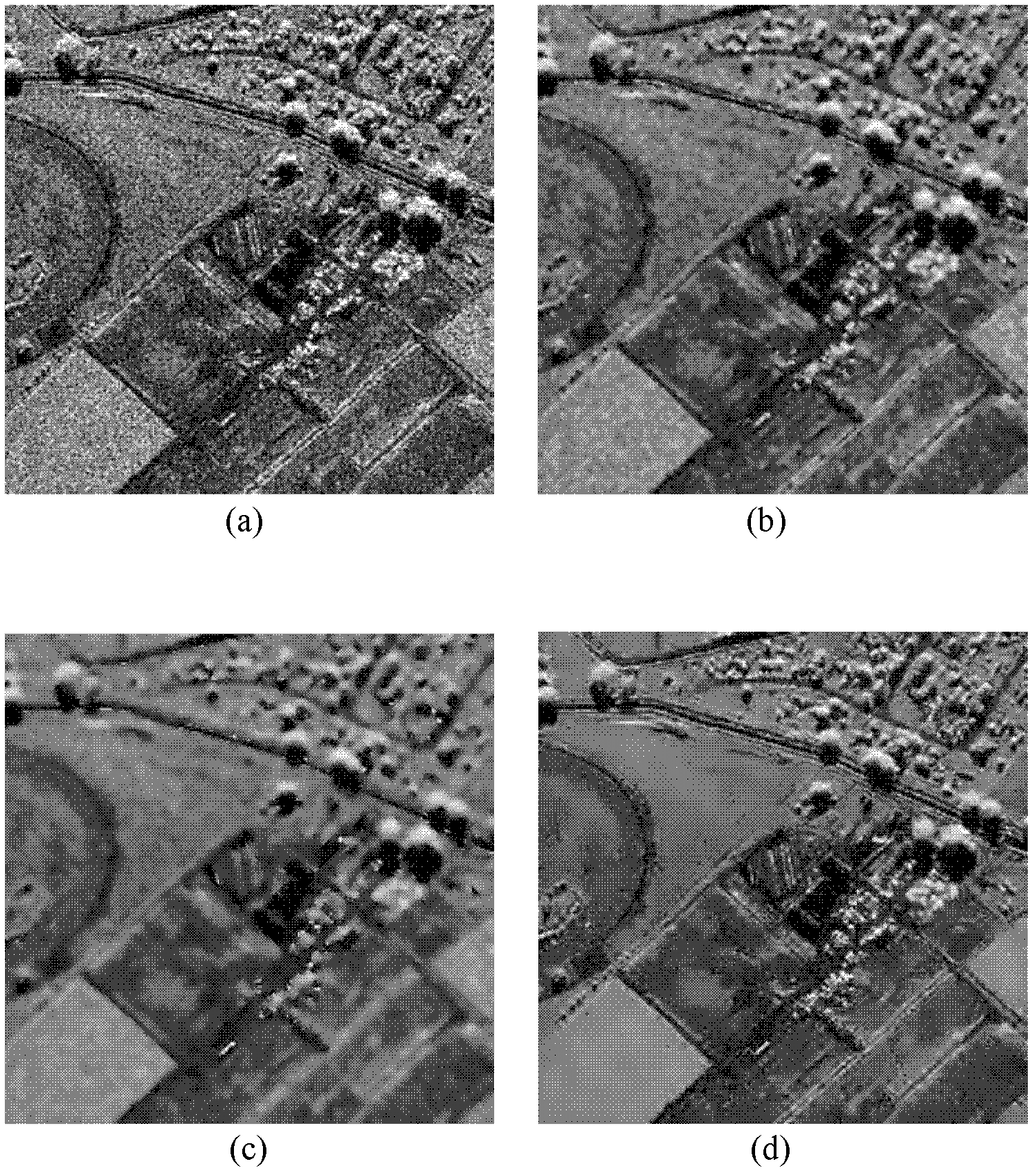 SAR (Synthetic Aperture Radar) image speckle reduction method based on sparse representation