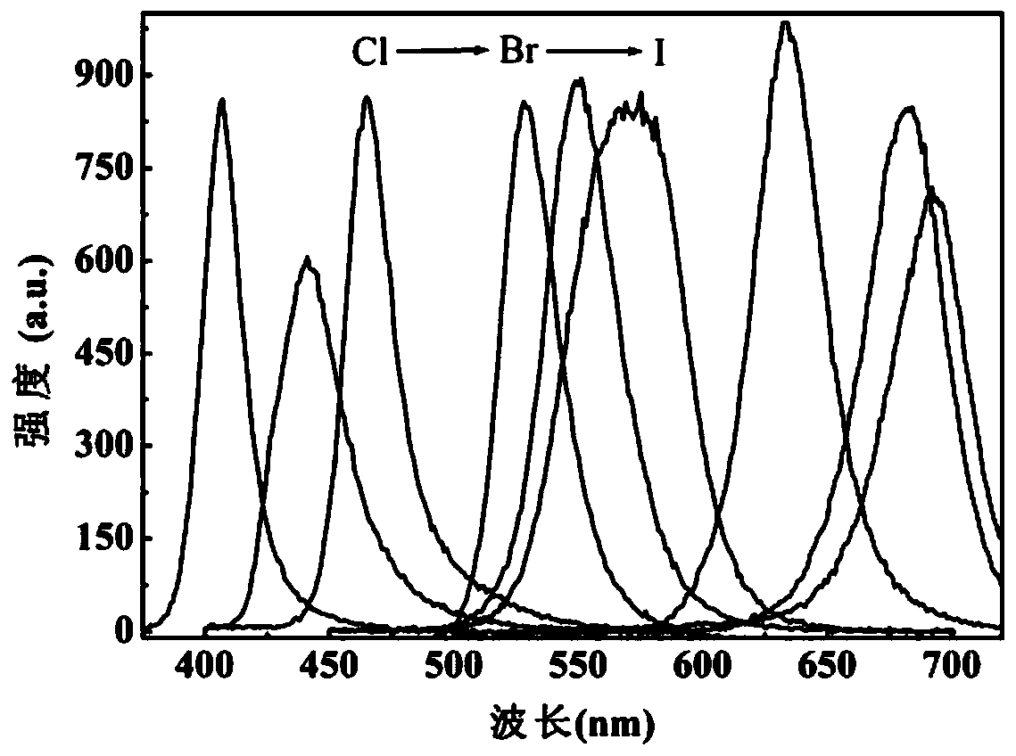 Device and method for rapidly and continuously synthesizing multi-morphology cesium lead halide cluster perovskite quantum dots