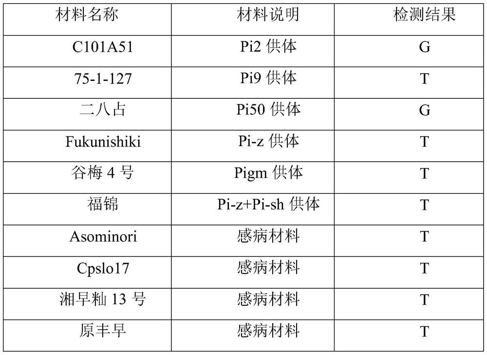 Development and Application of SNP Marker of Rice Blast Resistance Gene pi2