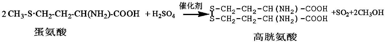 Synthesis method of DL-homocysteine thiolactone hydrochloride