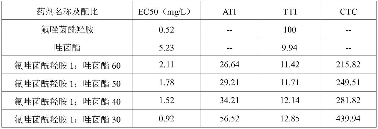 Agent composition for preventing and treating gray mold of Macadamia ternifolia