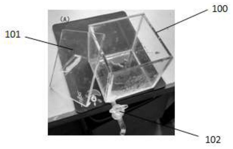 Preparation method of monolayer lattice