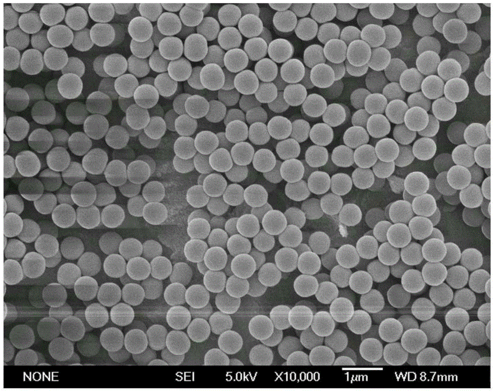 Preparation method of poly (ethylene glycol dimethacrylate) microspheres