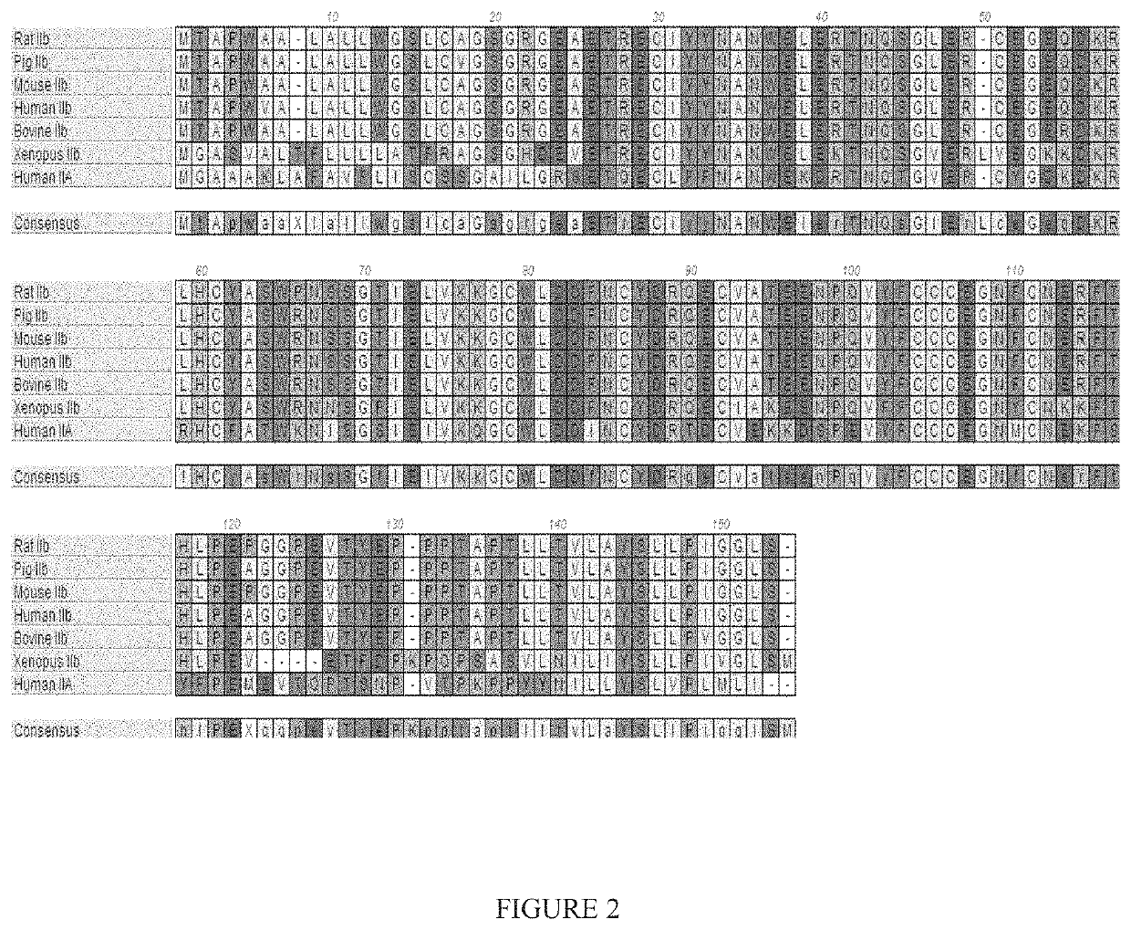 Methods and compositions for treating myelofibrosis