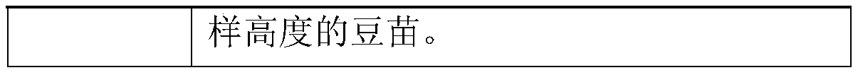 Degradable square-bottom bag and preparation method thereof