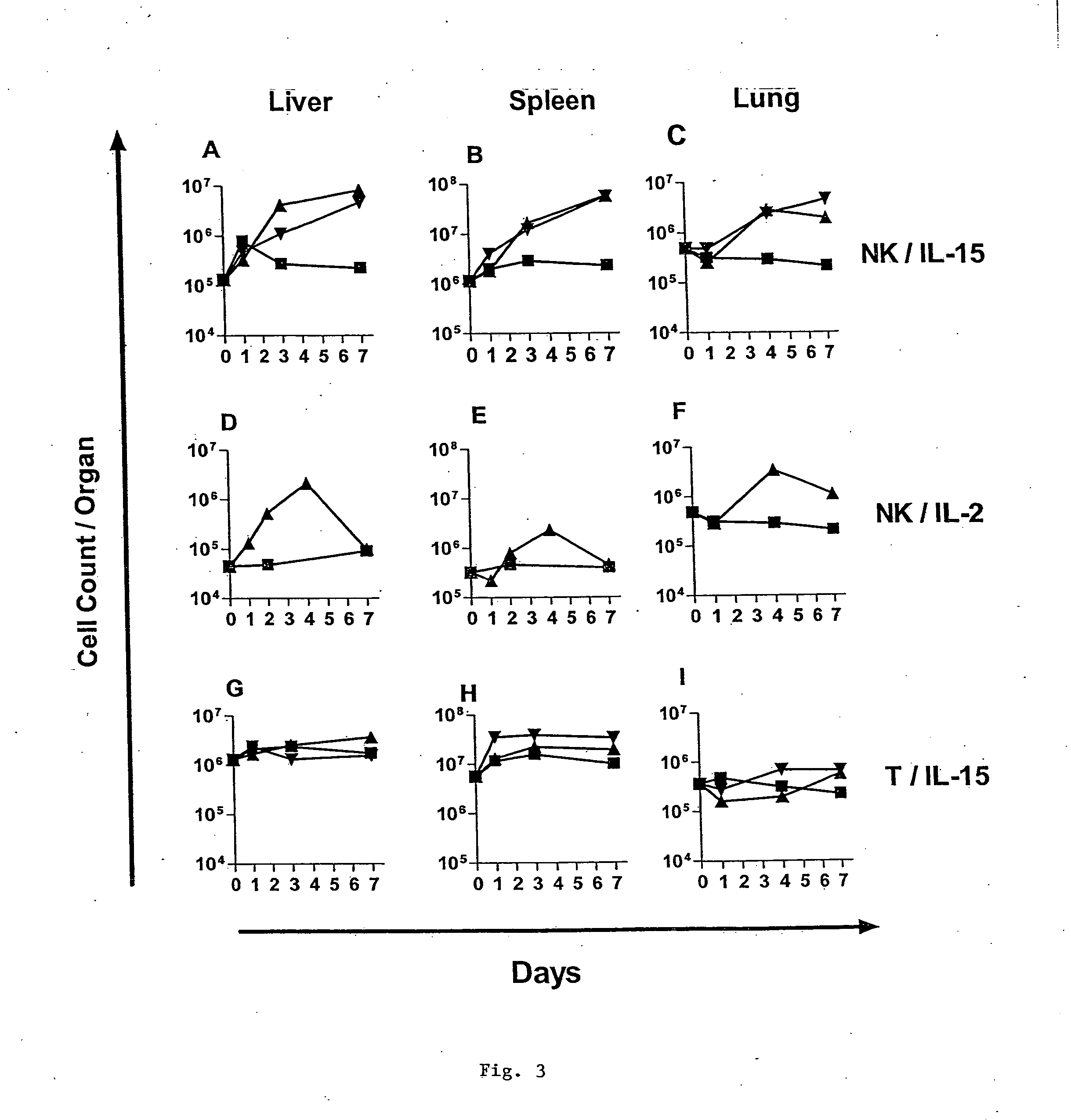 Novel form of interleukin-15, Fc-IL-15, and methods of use
