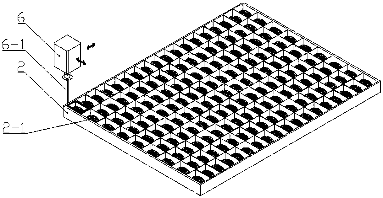 Full-automatic male and female silkworm cocoon sorting device