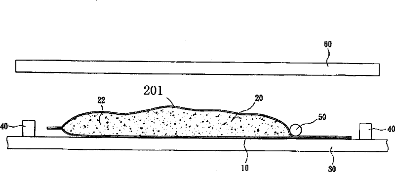 Printing plate producing method applying liquid photosensitive resin bag, and apparatus thereof