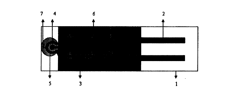 Silk-screen printing electrode and method for synthesizing chloramphenicol molecular imprinting film