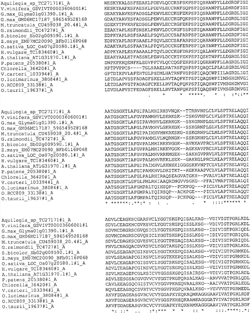 Plants having enhanced yield-related traits and method for making the same