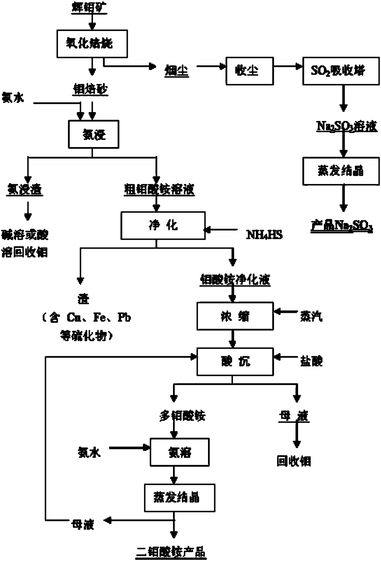 Process for producing high-purity ammonium dimolybdate through ion exchange method