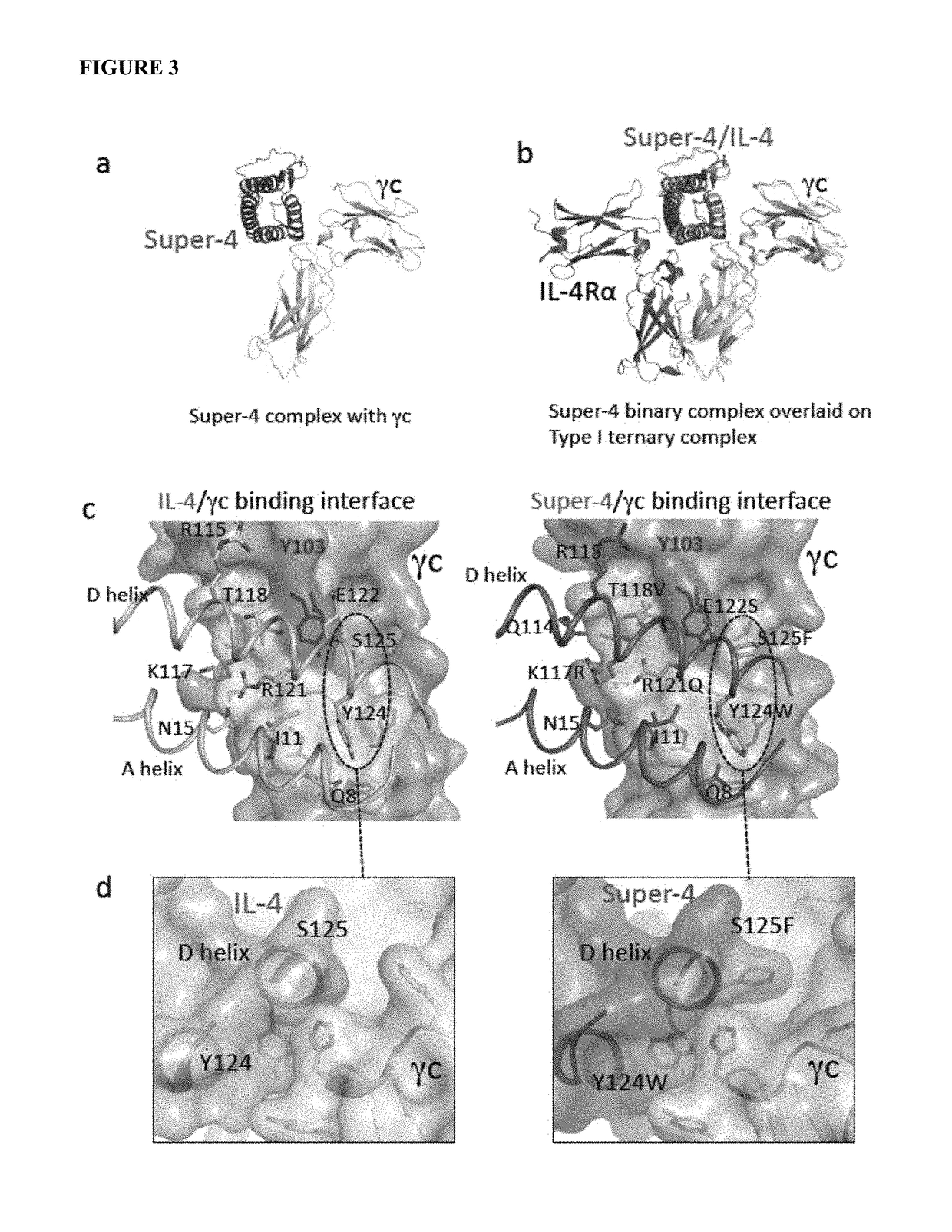 Superkines and synthekines:  repurposed cytokines with new and enhanced signaling activities