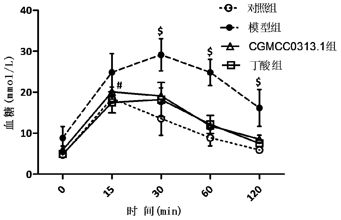 Application of Clostridium butyricum in prevention or auxiliary treatment of hyperglycemia preparations