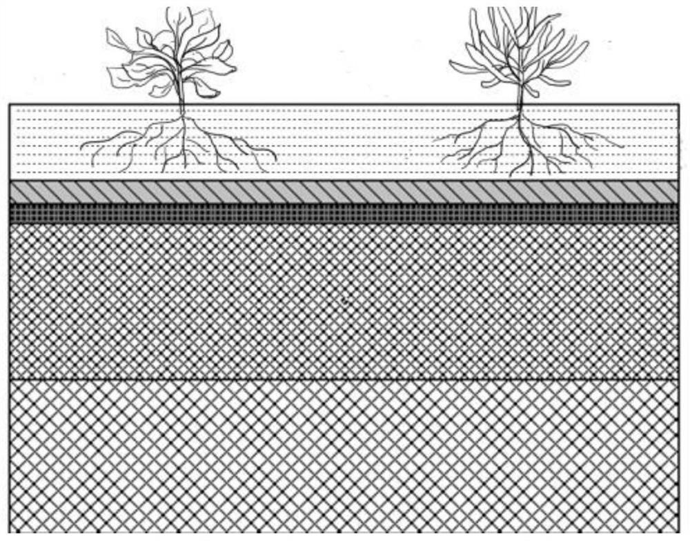 An ecological restoration method for layered coverage of gold mine tailings