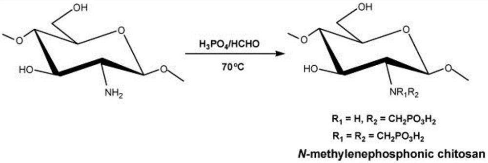 Phosphorylated chitosan derivative as well as preparation method and application thereof